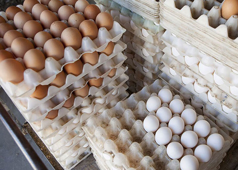 تخم‌ مرغ ترکیه‌ ای بازار را تنظیم نکرد 