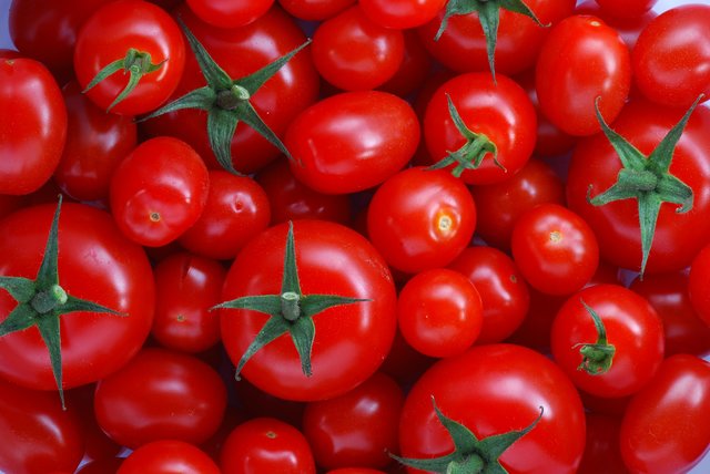 بازار منتظر ارزانی گوجه‌فرنگی است