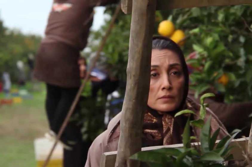 بازیگر زن ایرانی برگزیده جشنواره تورنتو شد +عکس