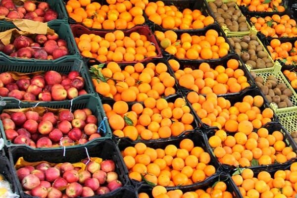 صادرات میوه ۲۰برابر بیشتر از واردات شد