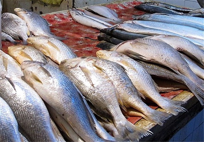 در یک سال گذشته مردم چقدر ماهی خوردند؟