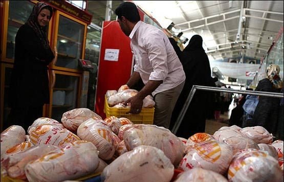 افزایش تولید مرغ و کاهش قیمت در آستانه محرم