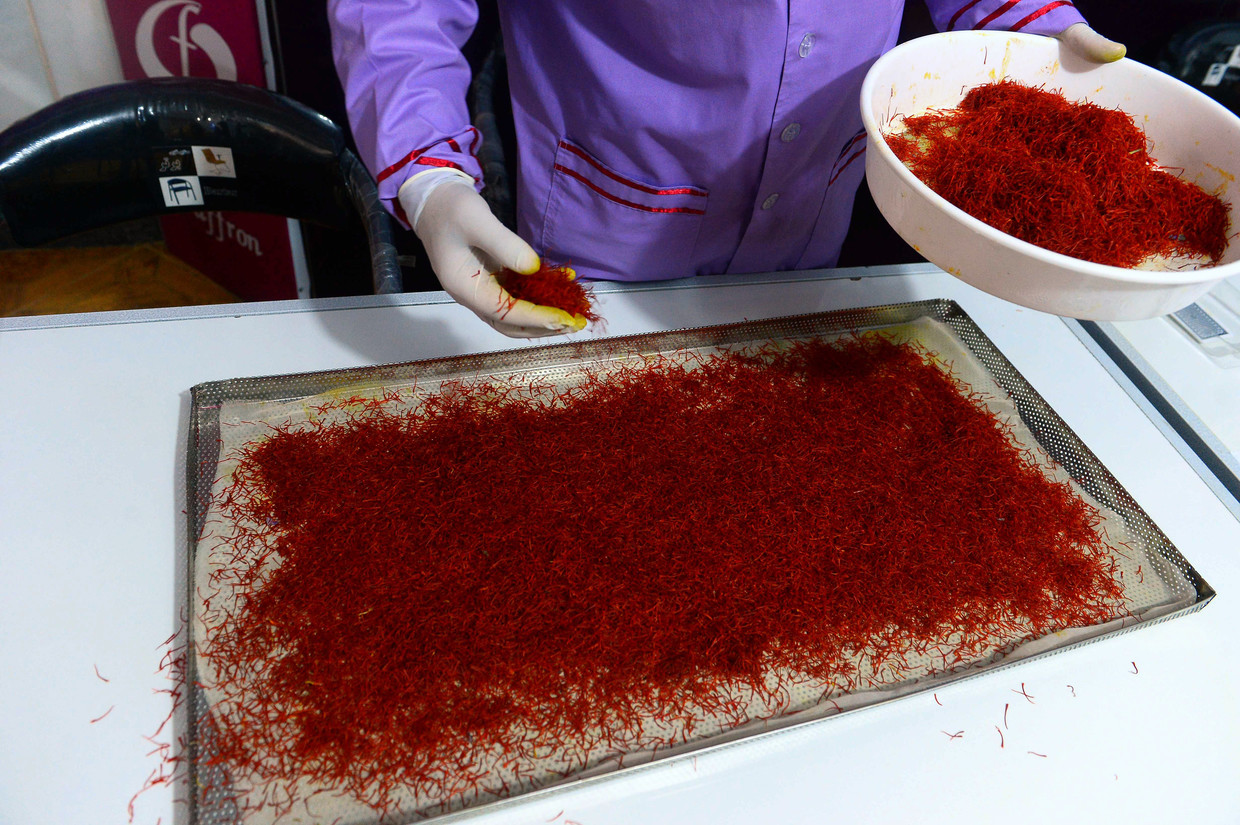 تولید زعفران افغانستان رکورد زد