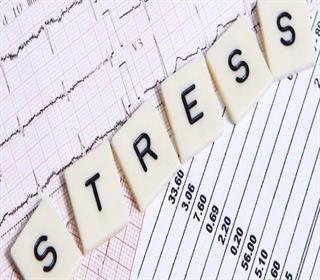 چگونه استرس در آینده بر روی بدن شما تاثیر می‌گذارد؟