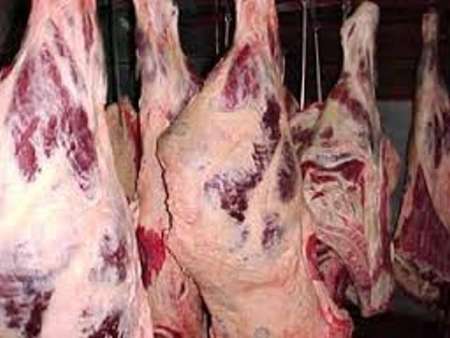 عرضه دولتی گوشت تازه کیلویی ۳۱ هزار و ۵۰۰ تومان