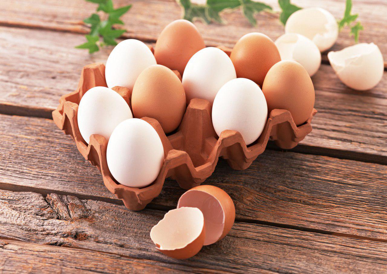 رد یک باور اشتباه در باره مصرف تخم مرغ