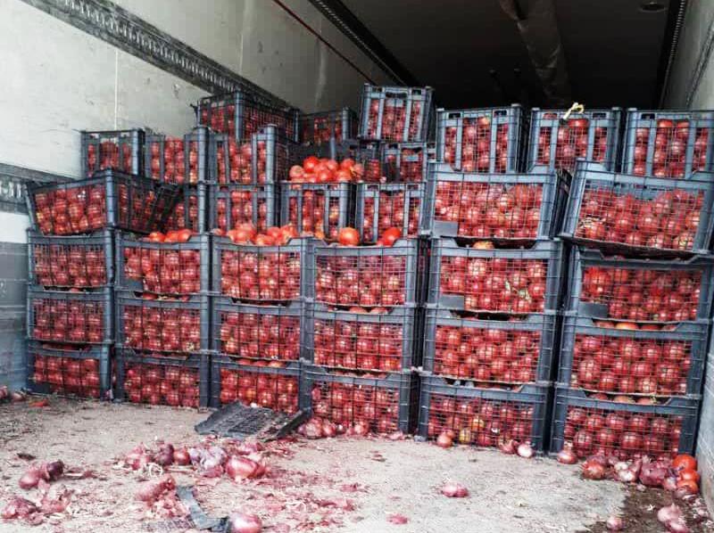 صادرات نقشی در گرانی گوجه نداشت