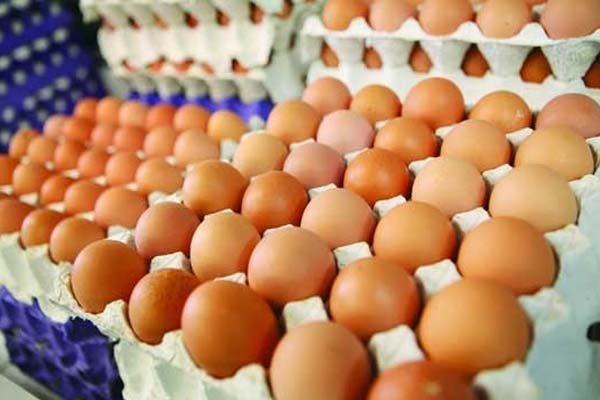 وجود ۱۶۰هزارتن تخم مرغ مازاد در کشور