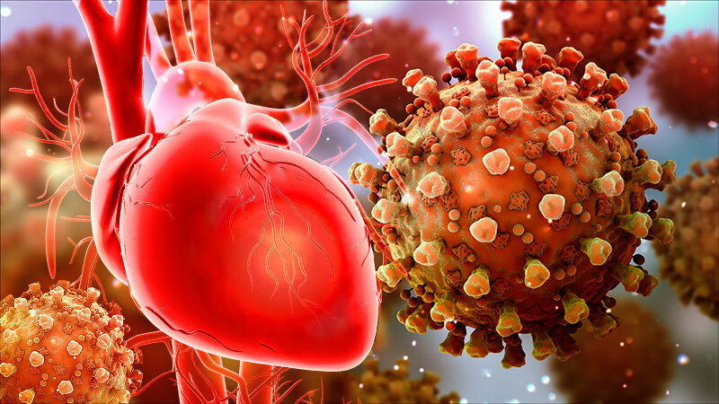 اولین مقصد ویروس کرونا در بدن قلب و ریه است 