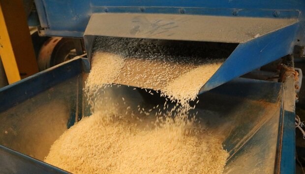 ممنوعیت واردات فصلی برنج لغو شد
