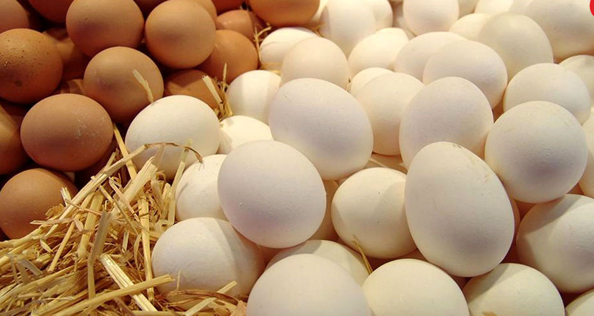 ۵۰۰ تن تخم مرغ پشت مرزها در آستانه فاسد شدن 