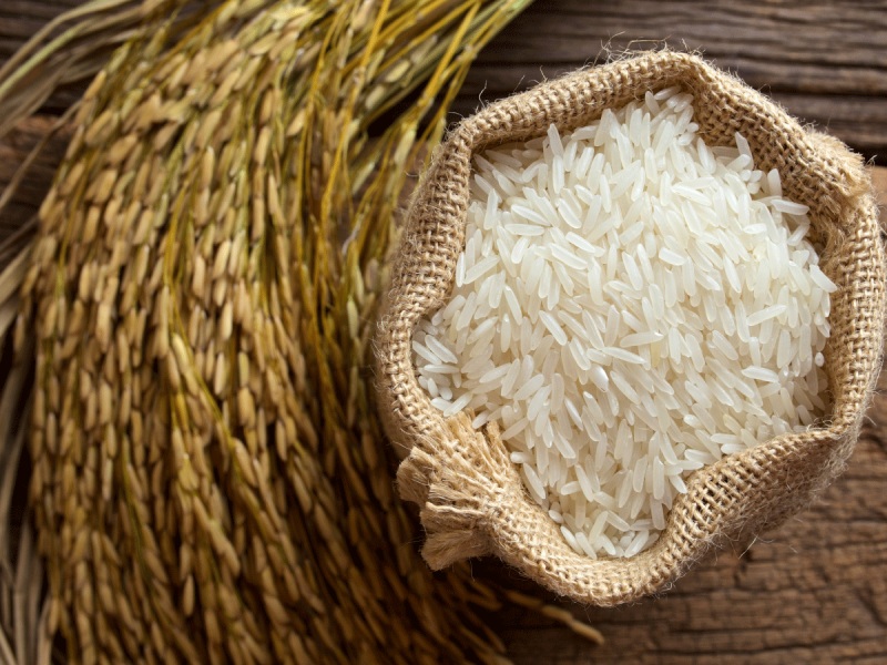دولت واردات برنج را آزاد کرد