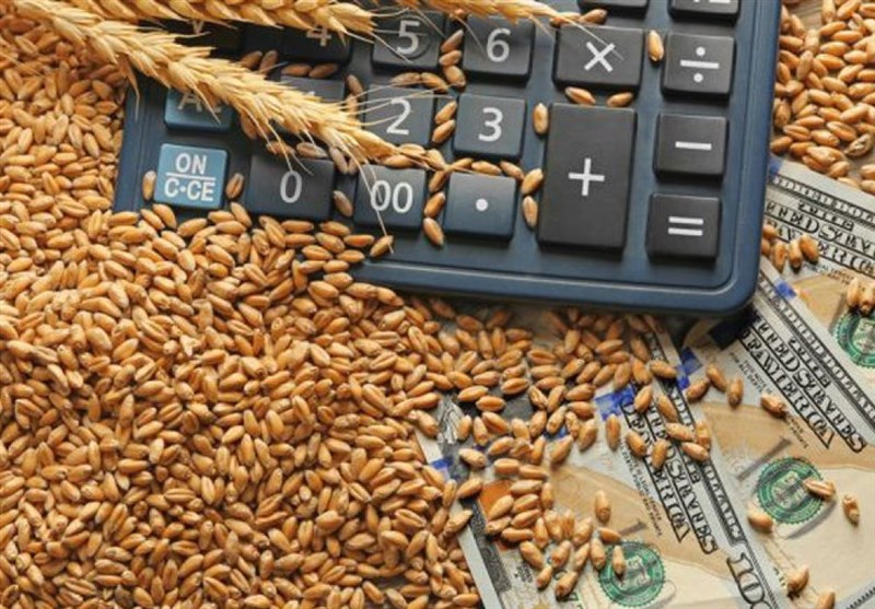 افزایش ۳.۵ دلاری قیمت گندم در بازارهای جهانی