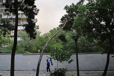 ورزش باد شدید، رعد و برق و رگبار در استان تهران