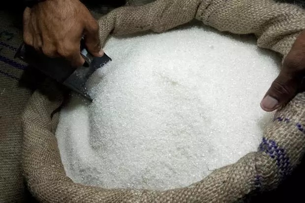 افزایش ۲۵درصدی تحویل چغندر قند توسط کشاورزان برای تولید شکر
