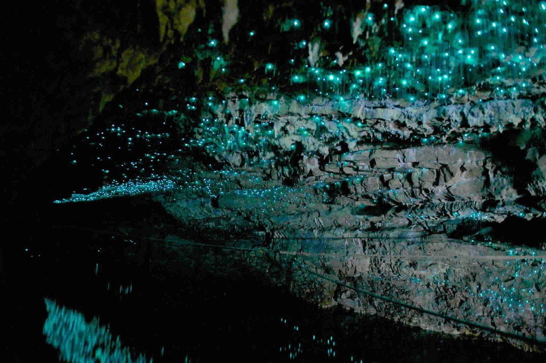 غارهای ویتوموی نیوزیلند؛ آسمانی نورانی در اعماق زمین