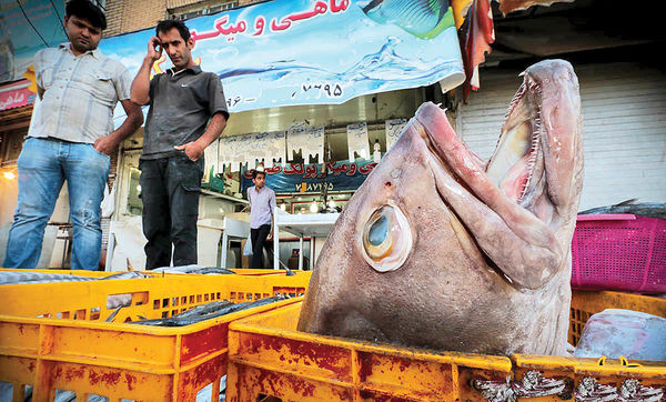 کاهش ۴۰درصدی فروش ماهی