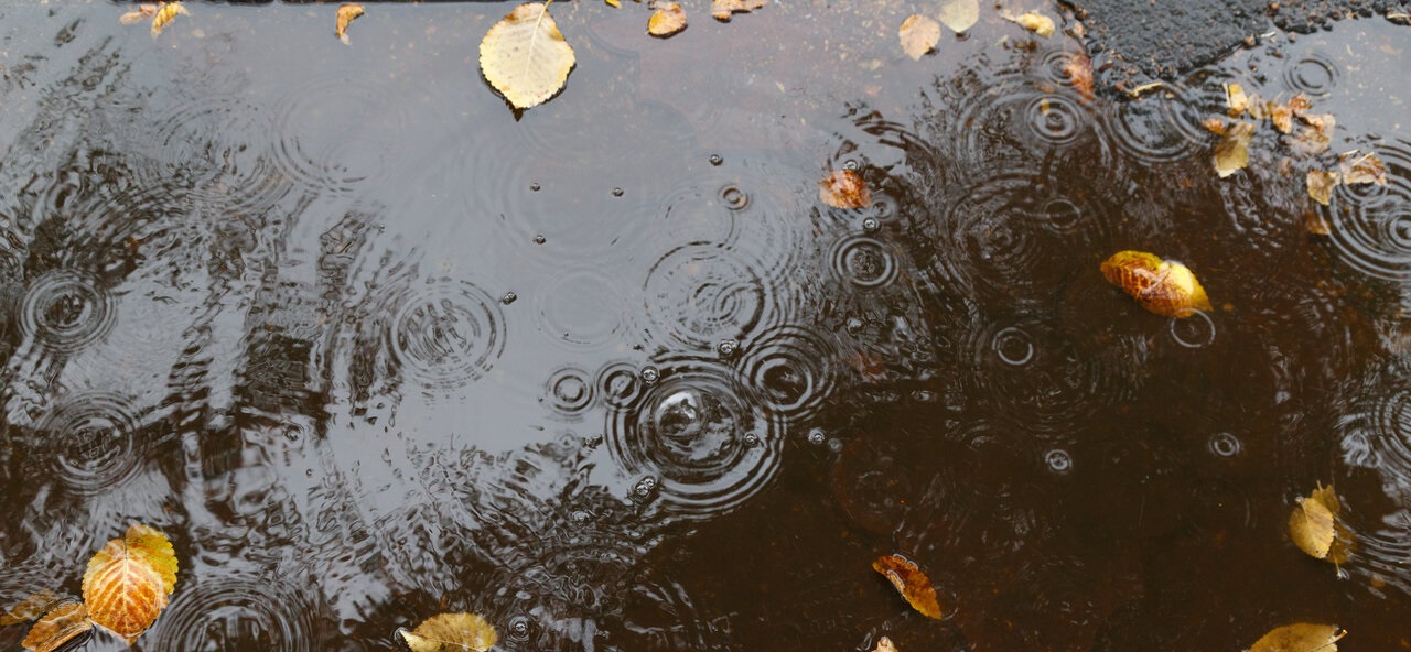 کاهش ۷۰ درصدی بارش ها در حوزه آبریز شرق 