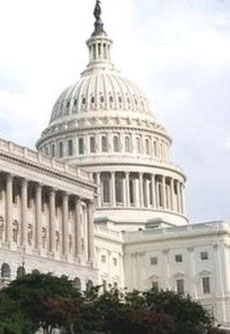 کاخ سفید ممنوعیت ورود دارندگان گرین کارت به آمریکا را تایید کرد