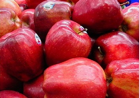 هر سیب 100میلیون باکتری در خود دارد!
