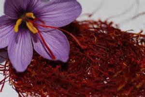 بهبود کیفیت گوشت با افزودن گلبرگ زعفران به جیره غذایی مرغ
