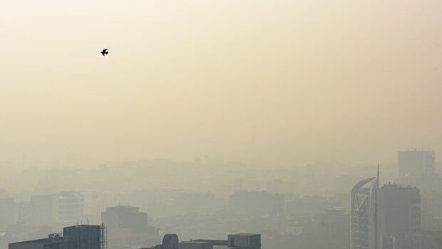 آخرین وضعیت آلودگی هوا در البرز