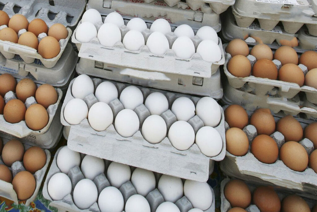 هر شانه تخم مرغ ۱۰۰ هزار تومان!