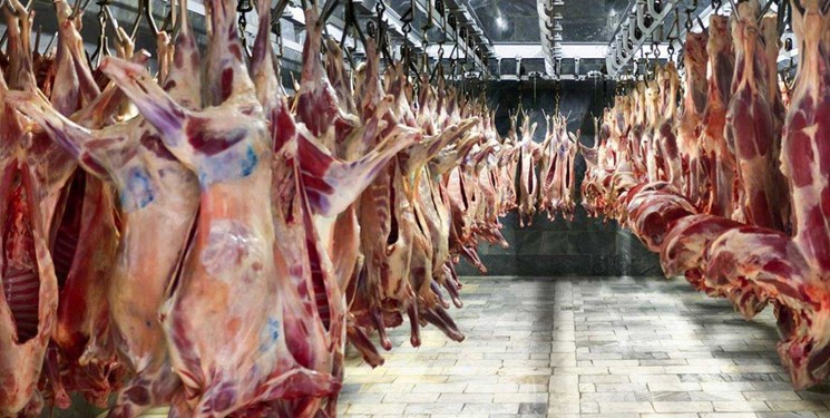 صادرات دام زنده عامل گرانی گوشت
