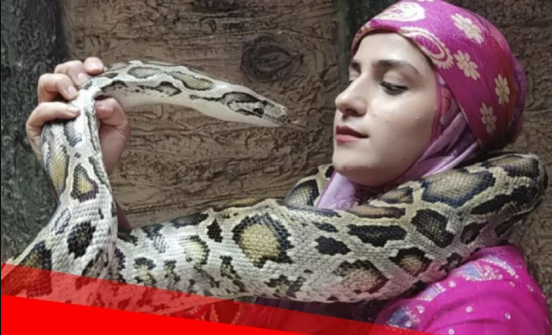 زندگی دختر ایرانی که یازده مار کبری را بوسیده! + فیلم