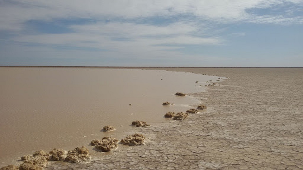 دریاچه هامون ایران خشک می‌شود