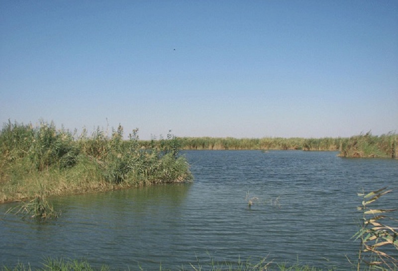 آبگیری دائمی تالاب هورالعظیم تنهاراه کنترل سیلاب خوزستان است