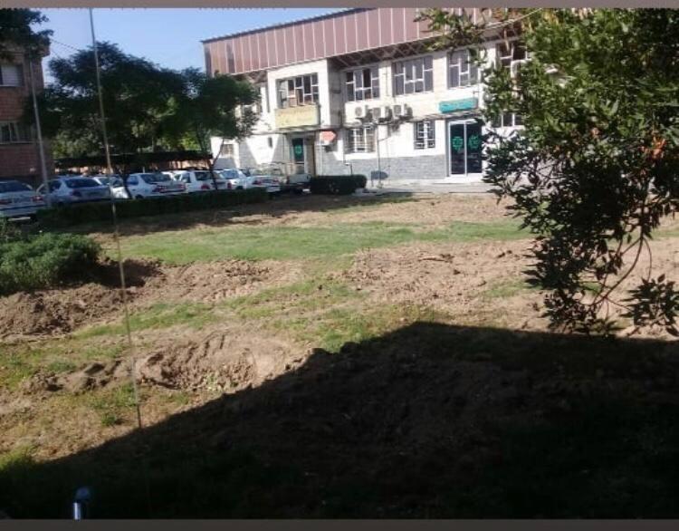 ماجرای تصاویر قطع درخت در محوطه شهرداری منطقه 18تهران 