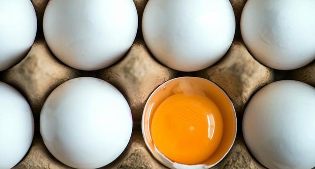 صدور مجوز واردات تخم‌مرغ در شرایط مازاد تولید