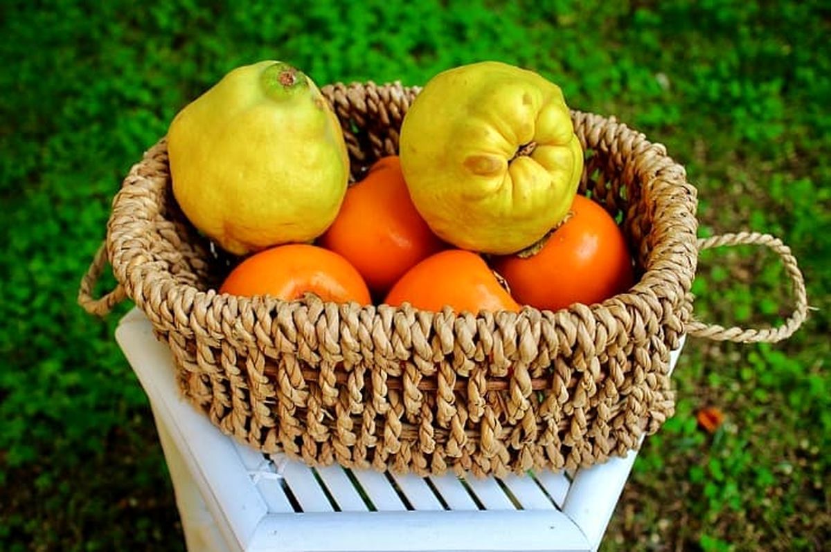 میوه ای که شما را از سرطان و افزایش وزن نجات می دهد!