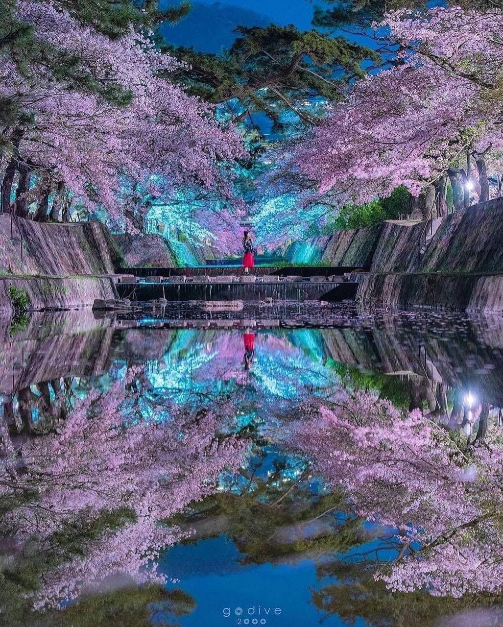 تصاویری فوق‌ العاده از ژاپن