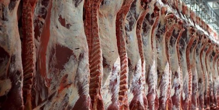 آغاز مرحله جدید عرضه گوشت گرم در فروشگاه‌های شهروند