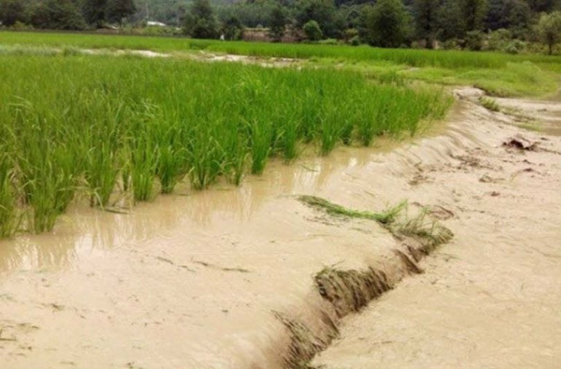  ۲۰ هزار میلیارد تومان خسارات سیل به کشاورزی کشور