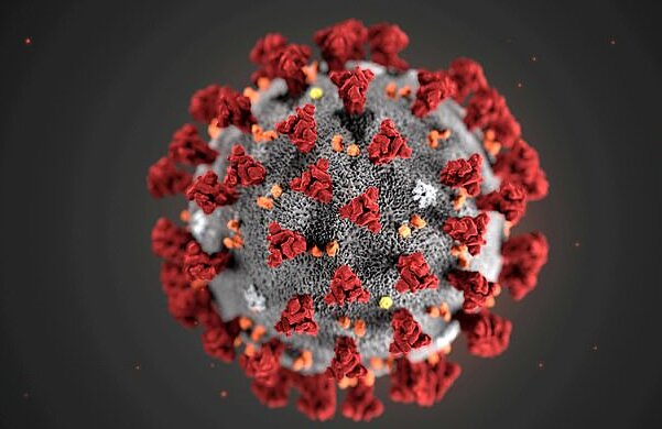 آخرین اخبار ویروس «کووید۱۹» در جهان