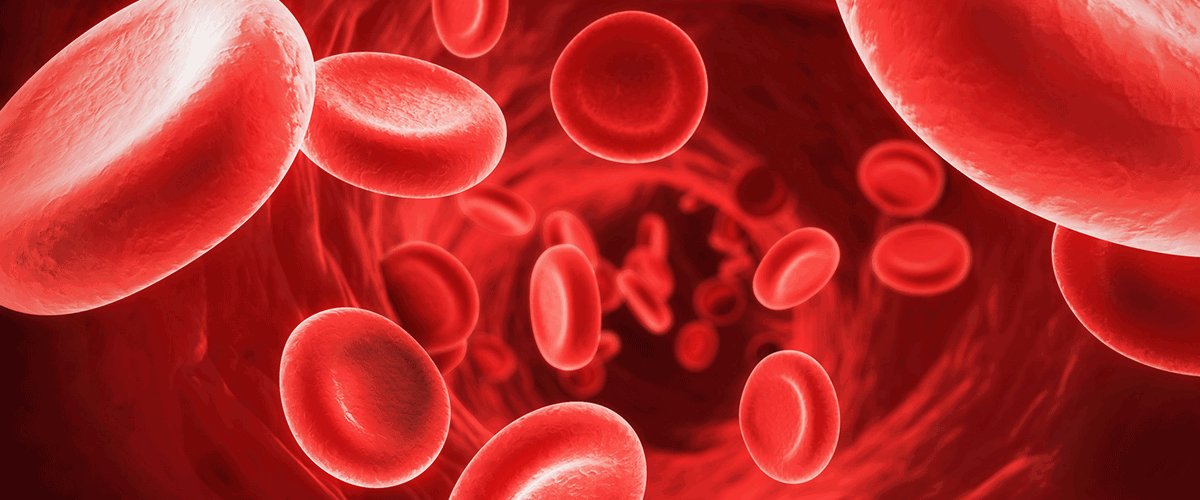 ادویه های مفید برای رقیق کردن خون