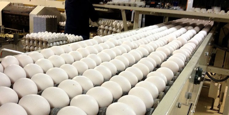 برطرف شدن مشکل توزیع تخم‌مرغ در پایتخت