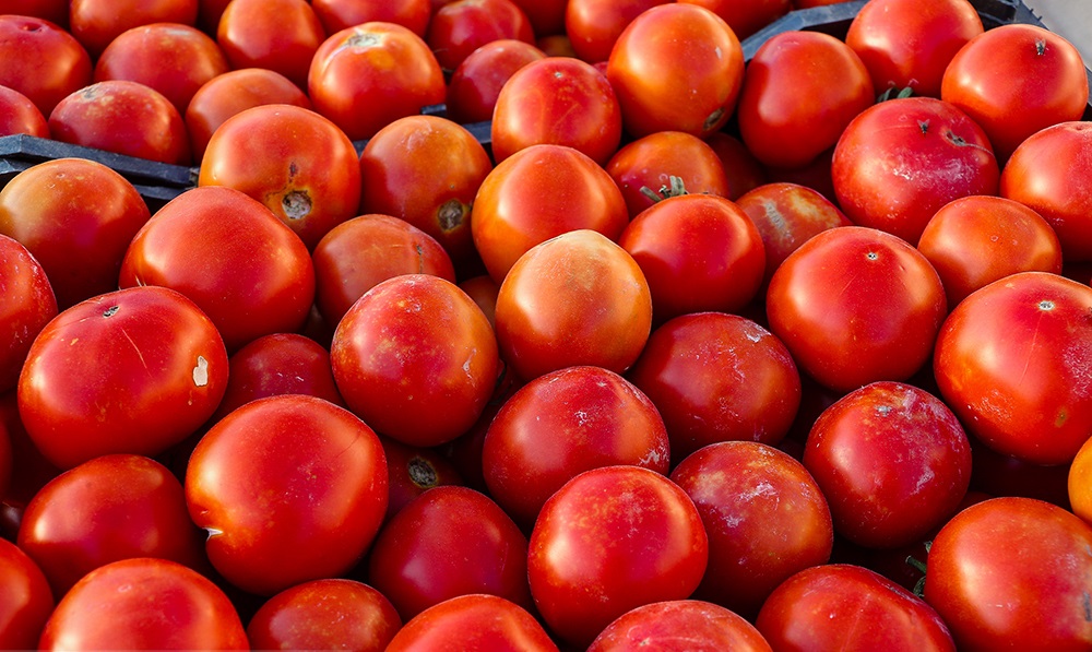 صادرات گوجه فرنگی مجدد آزاد شد