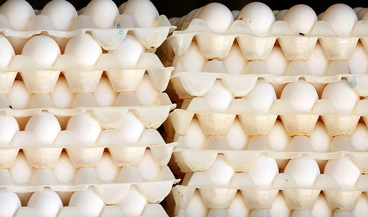 دلایل صعود دوباره قیمت تخم مرغ چیست؟/ کشورهای صادرکننده قیمت‌ها را بالا بردند