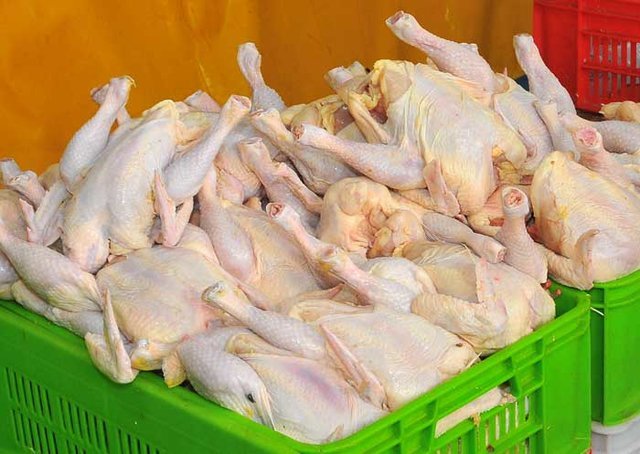 عرضه مرغ تازه در میادین و بازارهای میوه و تره بار، کیلویی 9790تومان