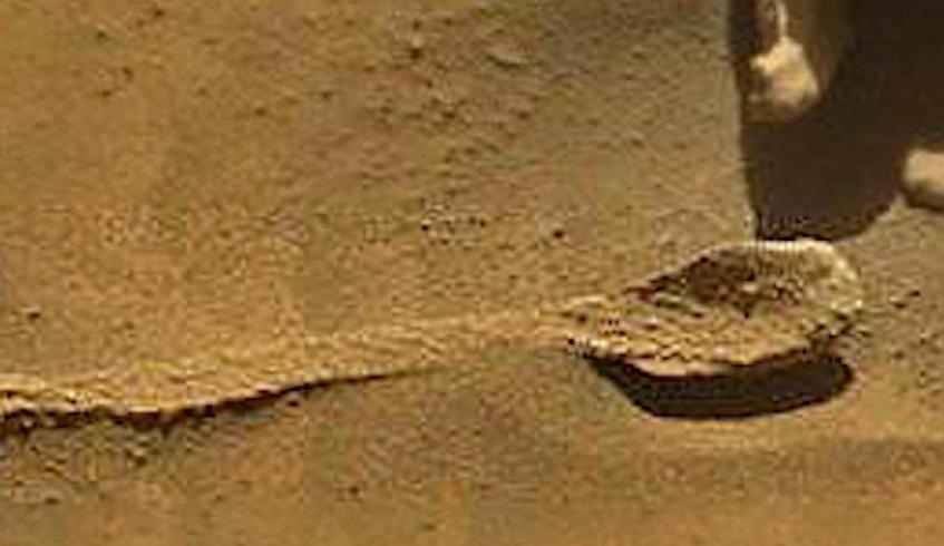 کشف قاشق متعلق به موجودات فضایی در مریخ! +تصاویر