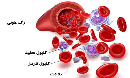 با دردسرهای کاهش پلاکت خون آشنا شوید