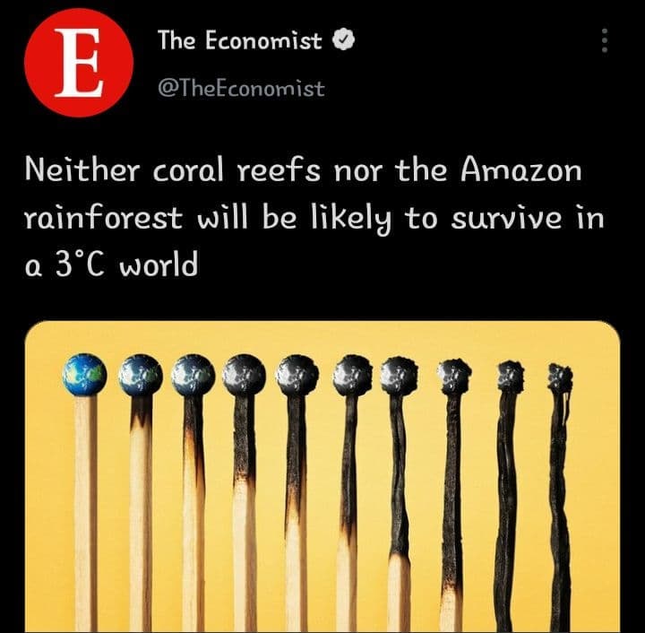 با افزایش دمای ۳درجه‌ای کره زمین جنگل‌های آمازون زنده نمی ماند
