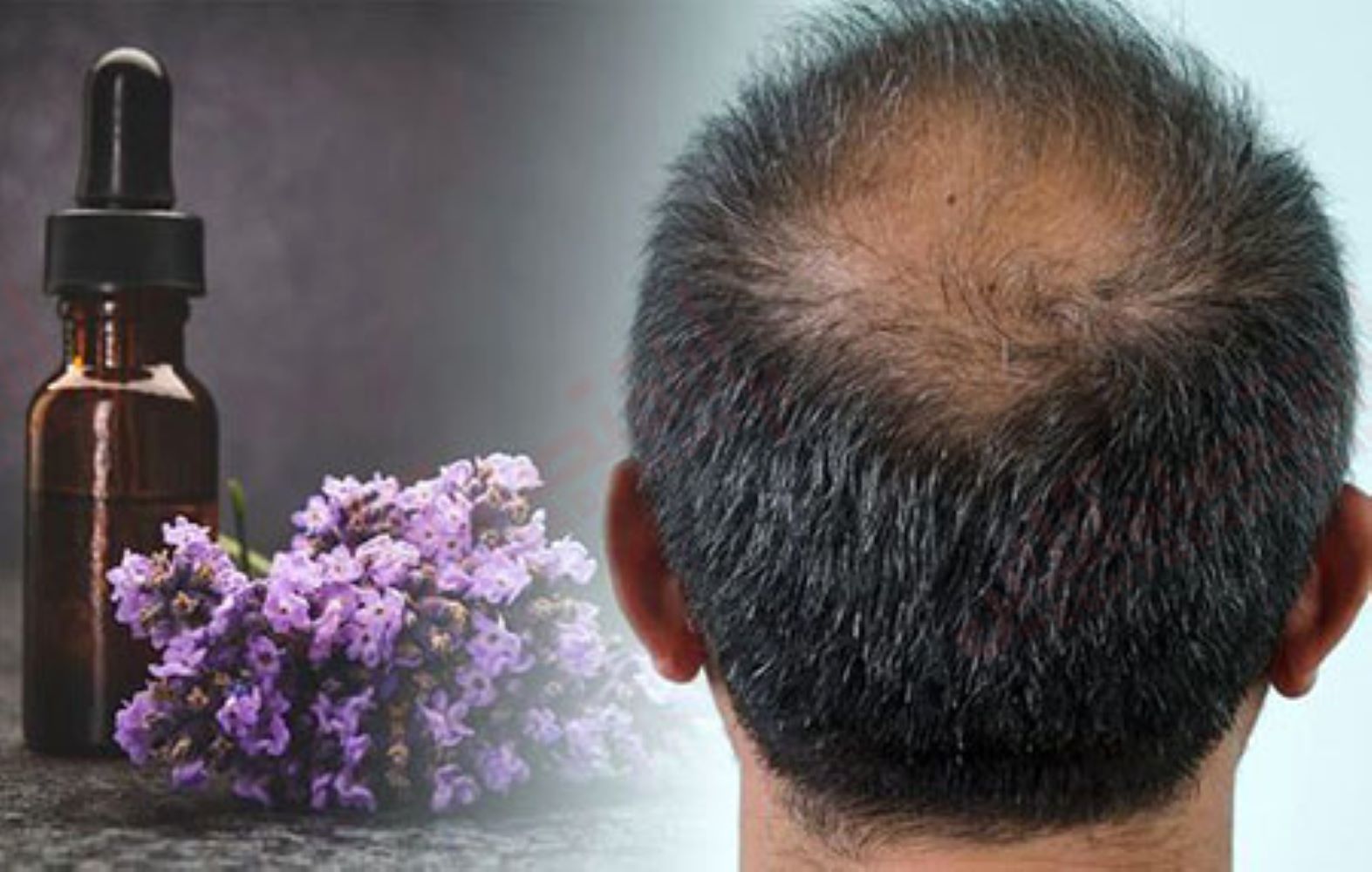 ۵ دلیل استفاده از روغن اسطوخودوس برای موها