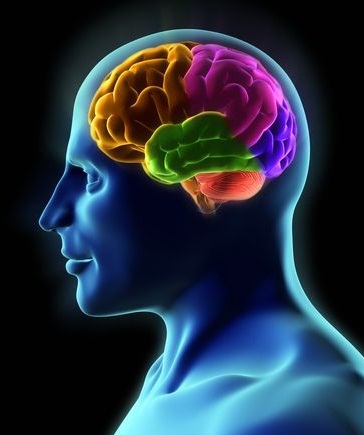 ویتامین‌ها و املاح تقویت‌کننده مغز کدامند؟