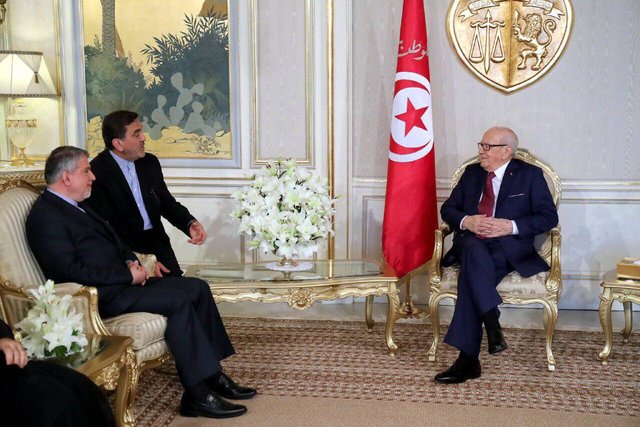 وزیر فرهنگ با رییس‌جمهور تونس دیدار کرد
