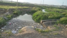 هشدار به آبیاری مزارع تهران با فاضلاب 